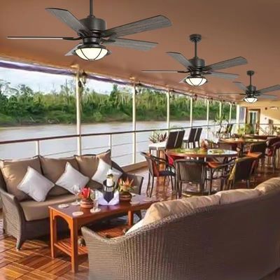 Sperrholzblätter wasserdichte Deckenventilator mit leichten wetterdichten Ventilatoren